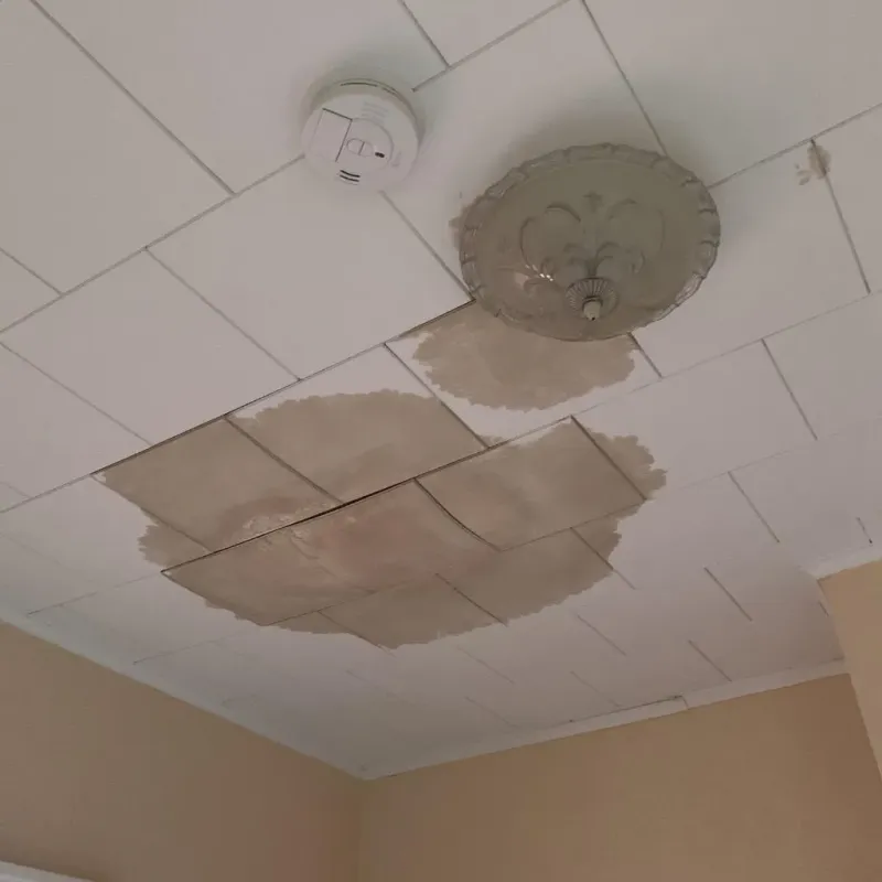 Ceiling Water Damage Repair in Pulaski County, VA