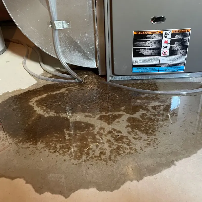 Pipe Burst and Leak Restoration in Pulaski County, VA