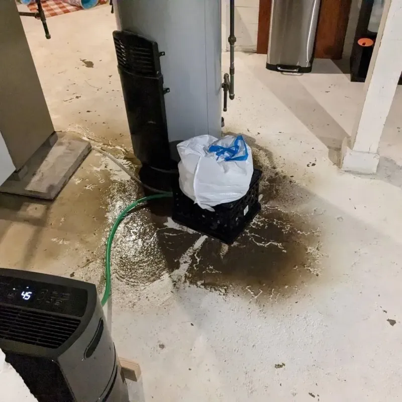 Sewage Backup Cleanup Service in Pulaski County, VA